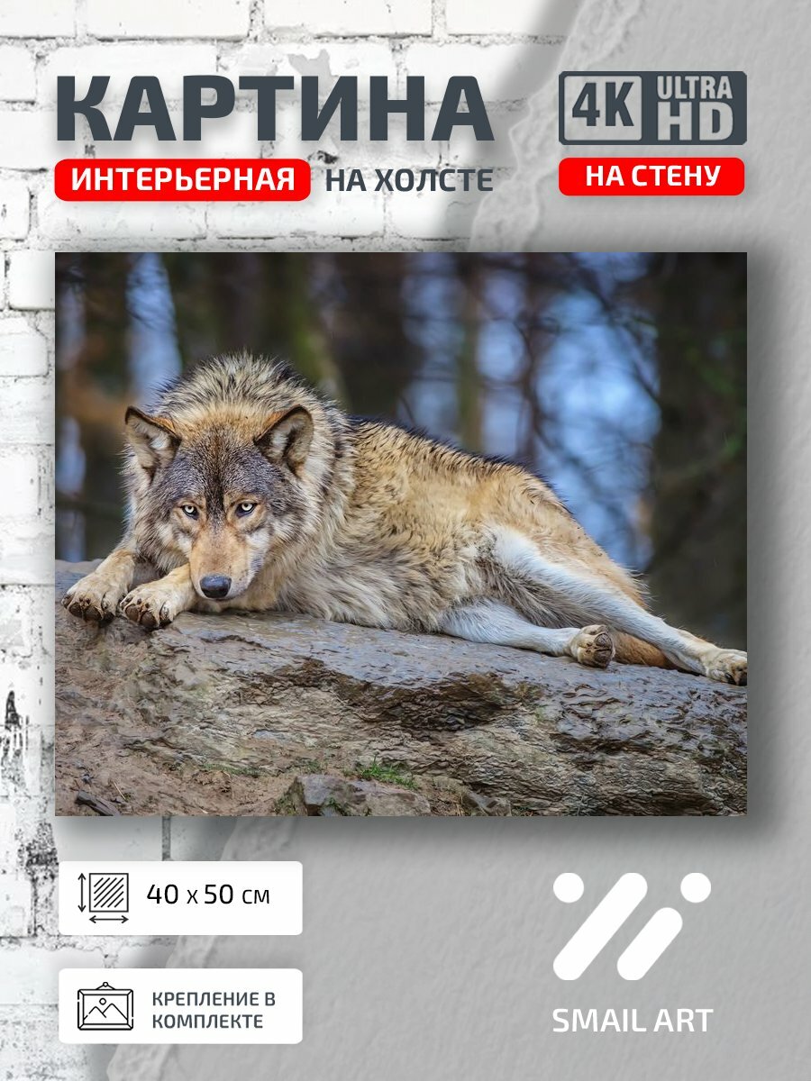 Картина на холсте интерьерная 40 на 50 на стену Камне Animal для спальни animal style декор
