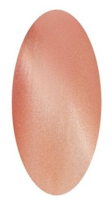 Irisk Professional Гель-лак Sakura Cat Eye, 5 мл, 10 г, 05