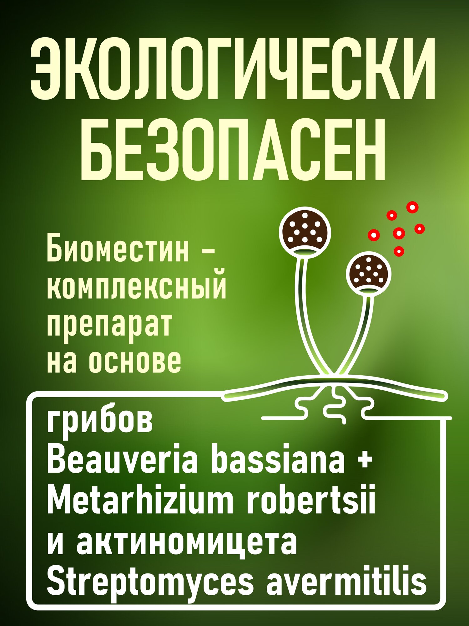 Биоинсектицид Beauveria bassiana, Metarhizium robertsii, Streptomyces avermitilis против вредителей, "Биоместин", 2 литра - фотография № 2