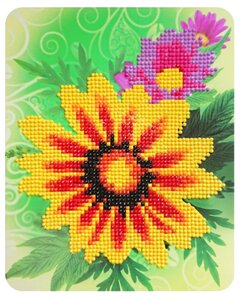 Фото Color Kit Набор алмазной вышивки Цветочное настроение (M012) 17х21 см