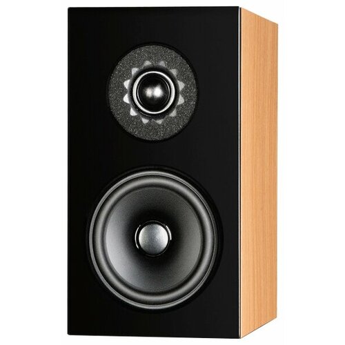 Акустическая система Audio Physic Classic Compact Glass black high gloss 9750000₽
