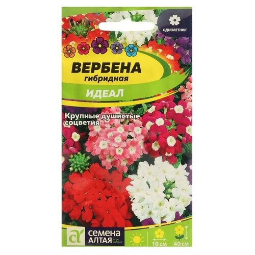 Семена цветов Вербена Идеал, гибридная, Сем. Алт, ц/п, 0,1г семена цветов вербена идеал гибридная сем алт ц п 0 1г 4 пачки