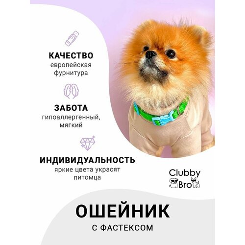 Clubby Bro Ошейник для собак мелких пород и средних пород, зеленый-голубой, размер S