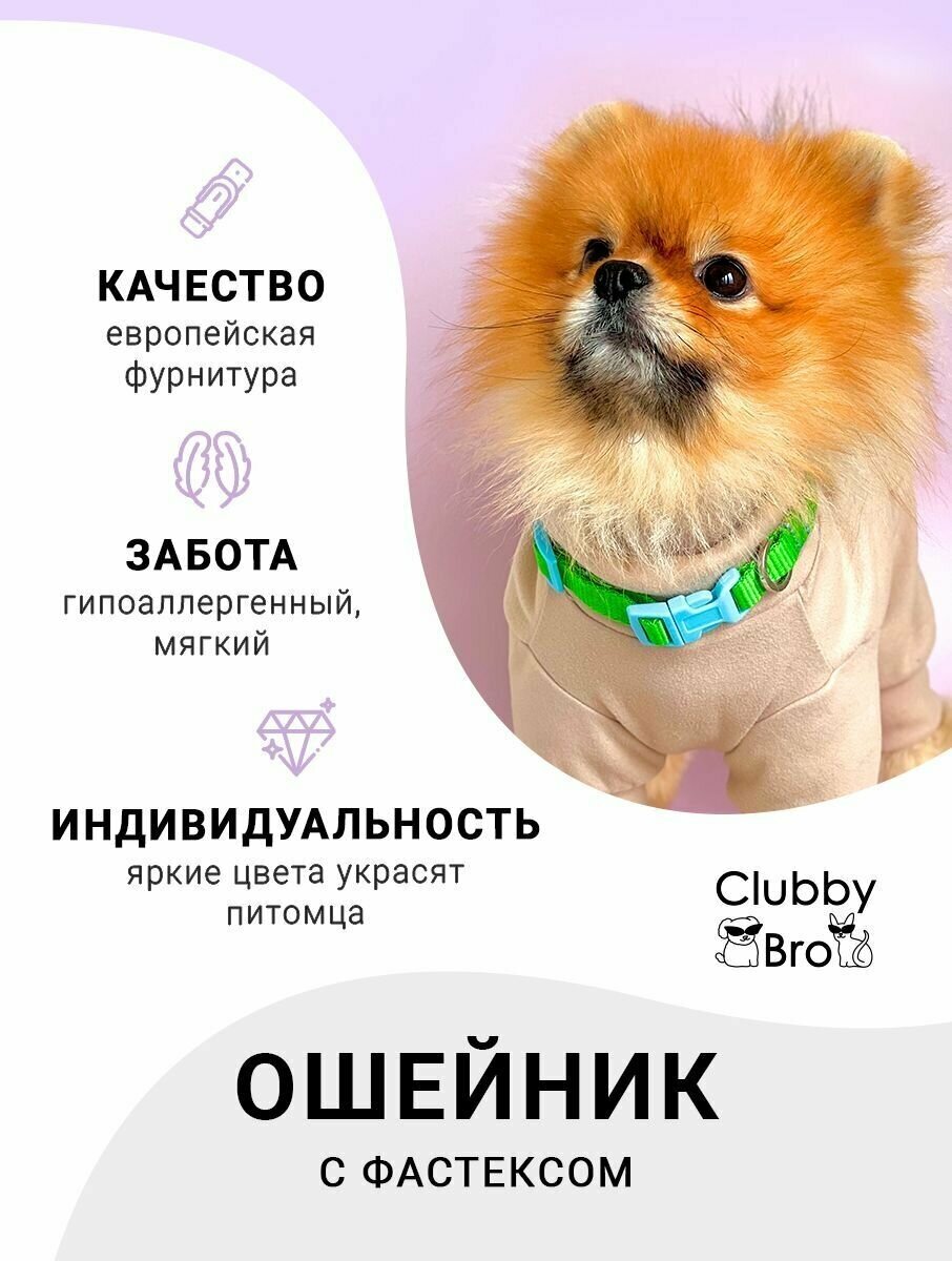 Clubby Bro Ошейник для собак мелких пород и средних пород, зеленый-голубой, размер S