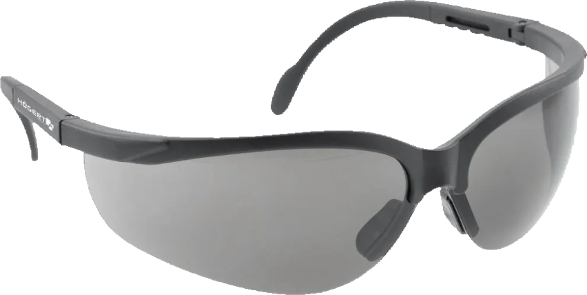 Очки защитные MAINZ цвет линз черный, универсальный размер Hoegert Technik - фото №1