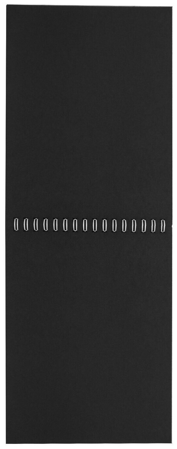 Скетчбук А5, 20 листов, 120 г/м2, черная бумага (110996) Brauberg - фото №3