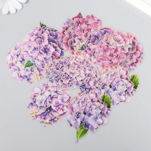 Наклейки для творчества Гортензии набор 10 шт 02х85х133 см 608₽