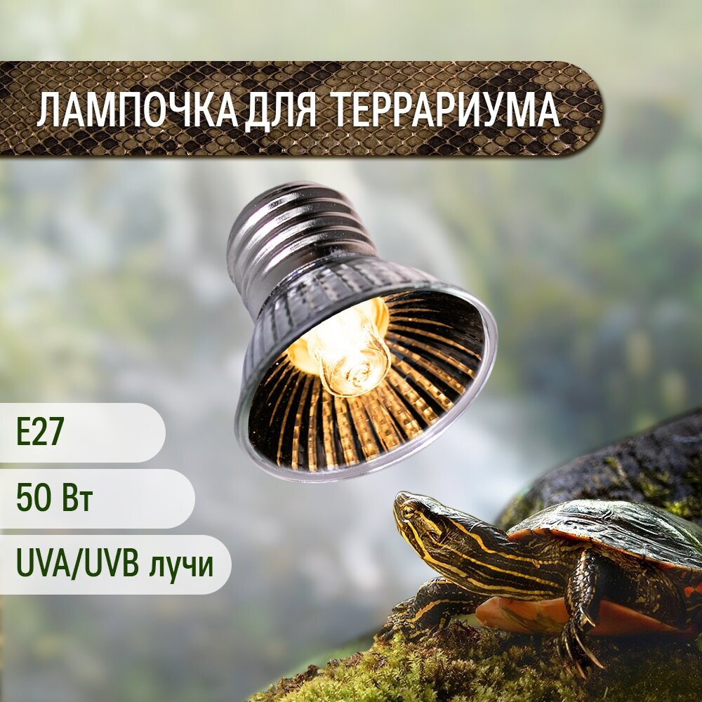 фото Лампочка накаливания для обогрева террариума 50 Вт