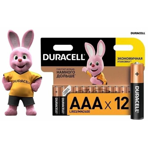 Батарейки AAA DURACELL щелочные 1,5В 12 шт мизинчиковые