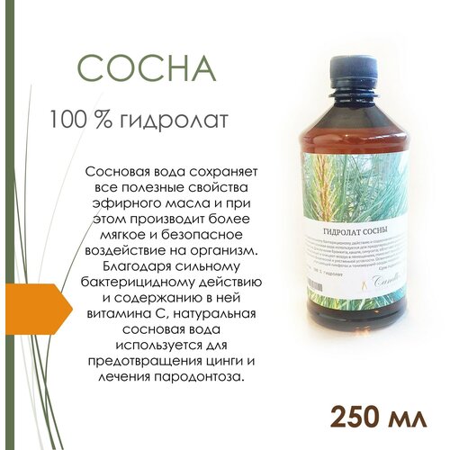 Гидролат сосны (250 мл)