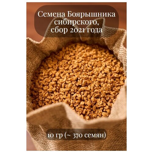 Семена Боярышника сибирского, морозостойкого, подходит для живой изгороди, 10 грамм (примерно 370 шт)