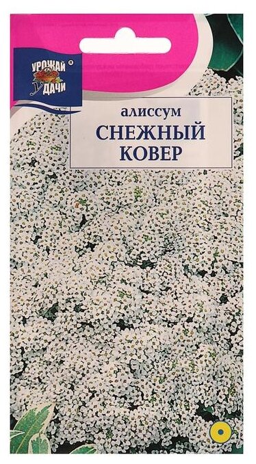 Семена Урожай удачи Алиссум Снежный ковер 01 гр