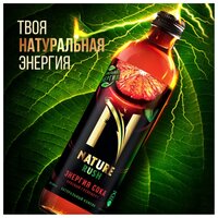 Тонизирующий напиток NATURE RUSH Энергия сока Красный грейпфрут, 0.33 л