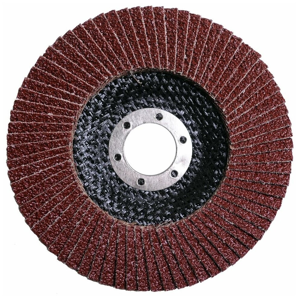 круг лепестковый FLEXIONE 125х22мм Р60 - фото №3