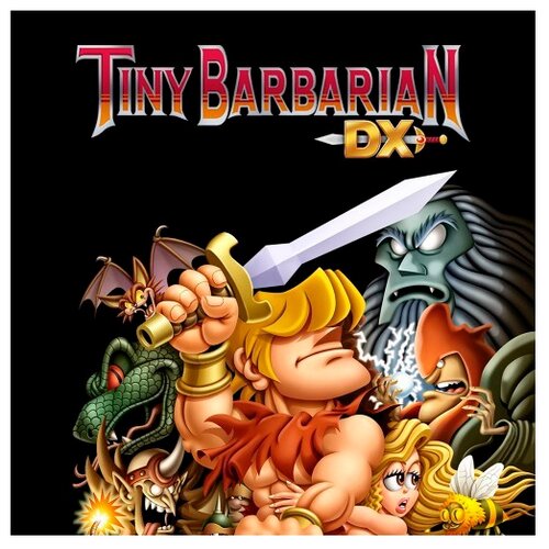 Tiny Barbarian Dx (Nintendo Switch)