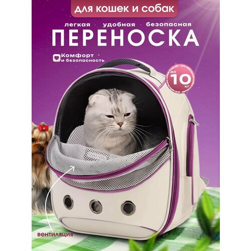 Переноска рюкзак для кошек и собак мелких пород
