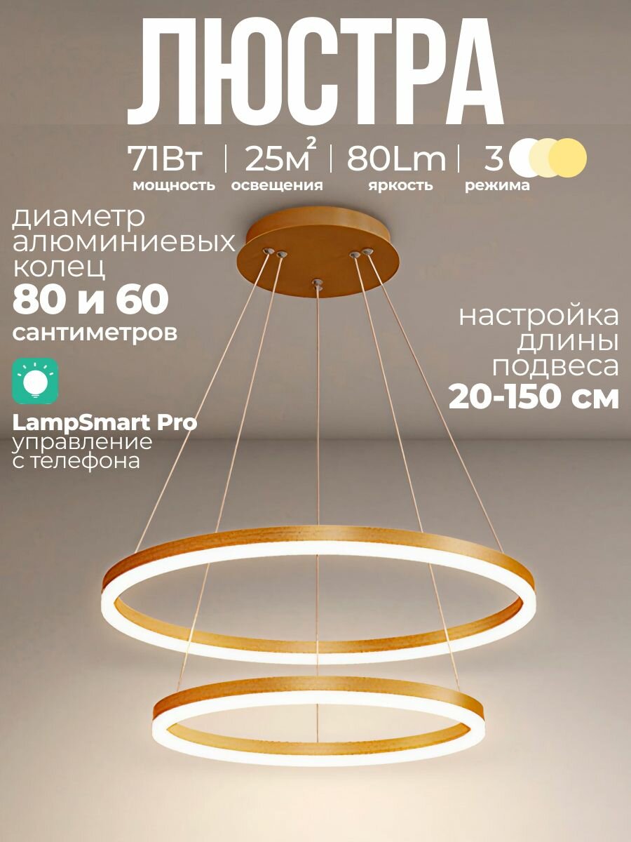 Люстра кольцевая LED 2 кольца 60 80 см