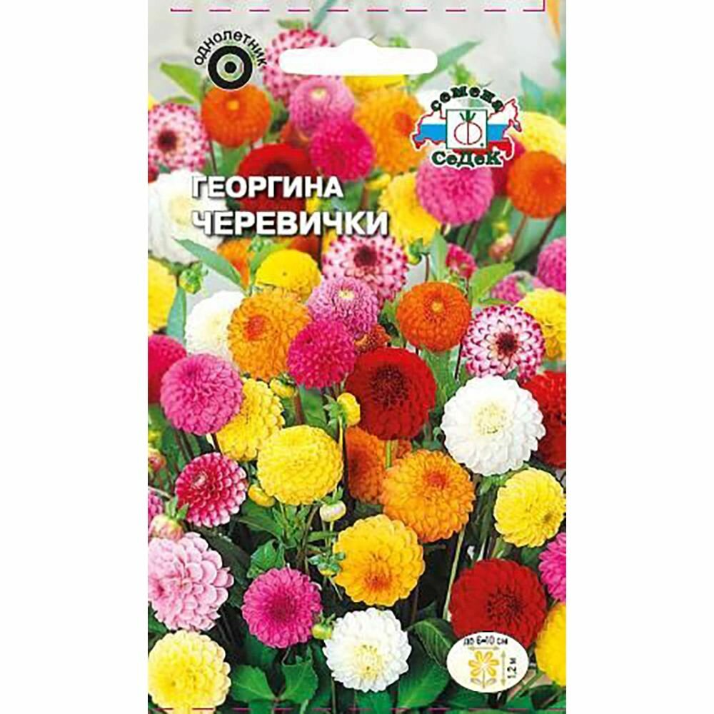 Георгина культурная Черевички высокорослая помпонная 02 г 3 штуки в наборе 5 штук в наборе