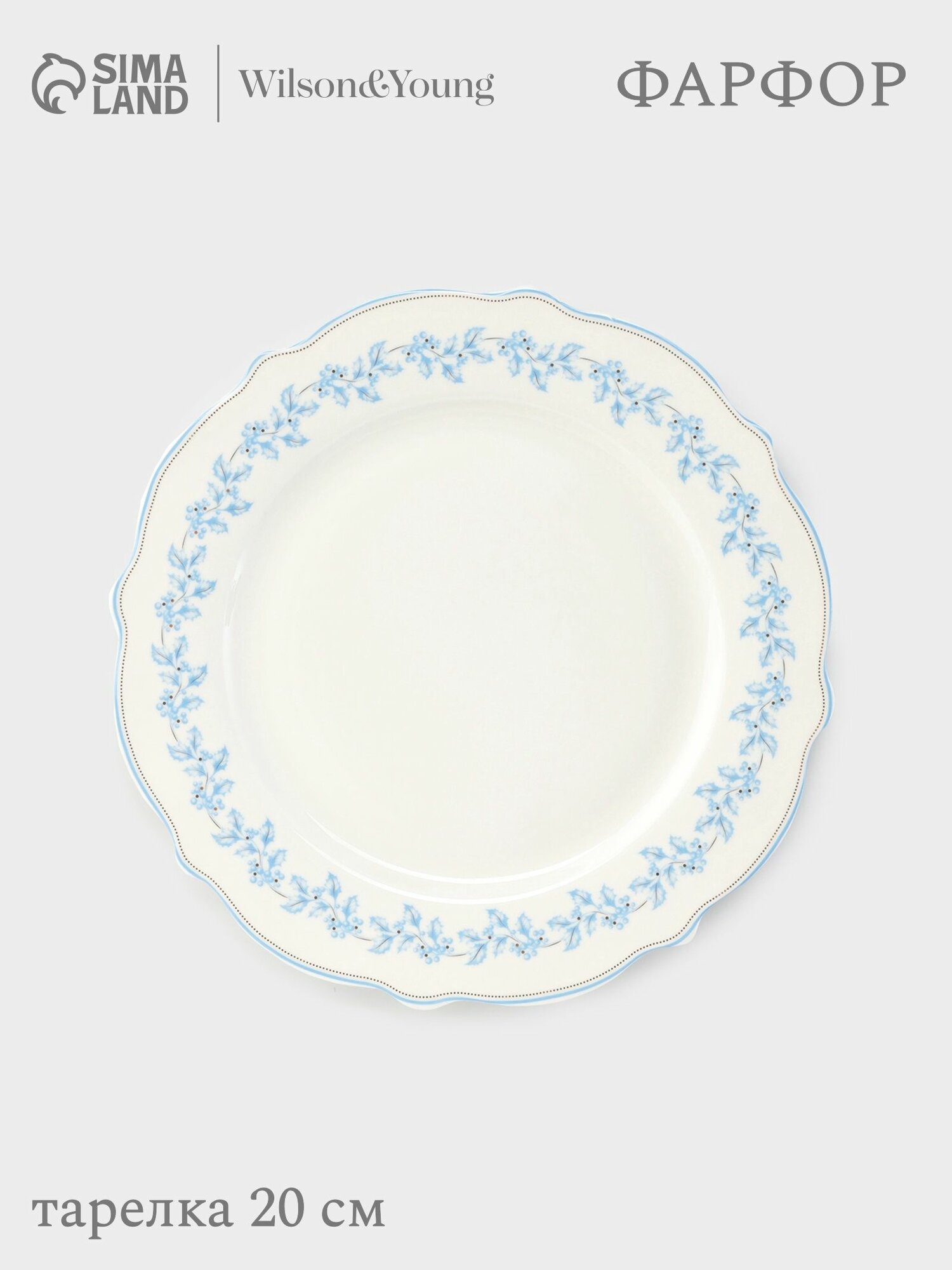 Тарелка WY "Royal blue", диаметр 20 см, цвет белый