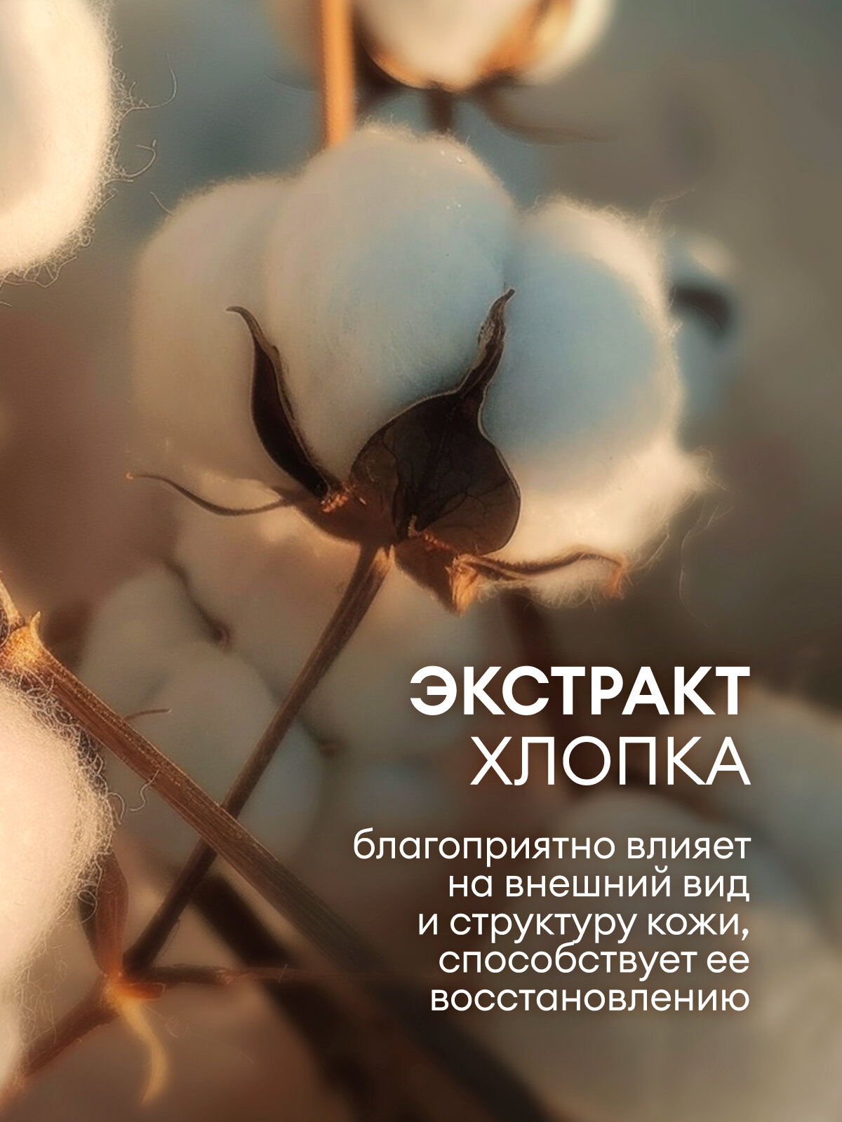 Изображение Увлажняющее крем мыло Grass Laun для бани и душа с ароматом хлопка 5л