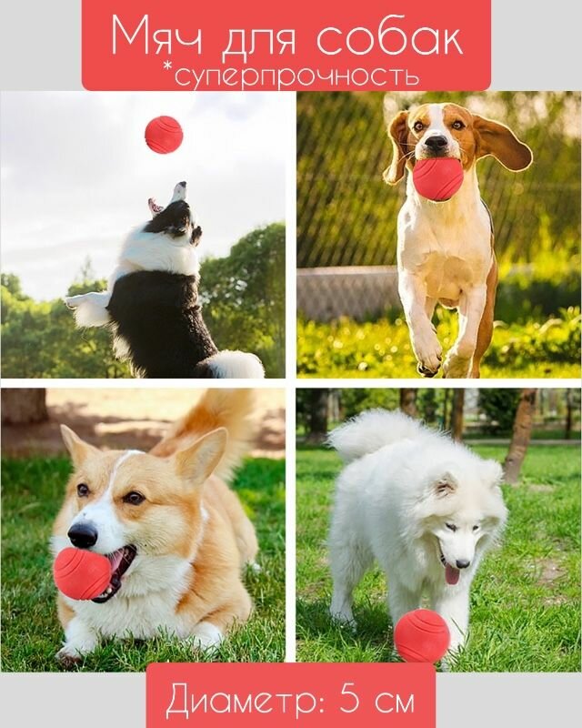 Мяч для собак суперпрочный литой для активных игр 5 см диаметр