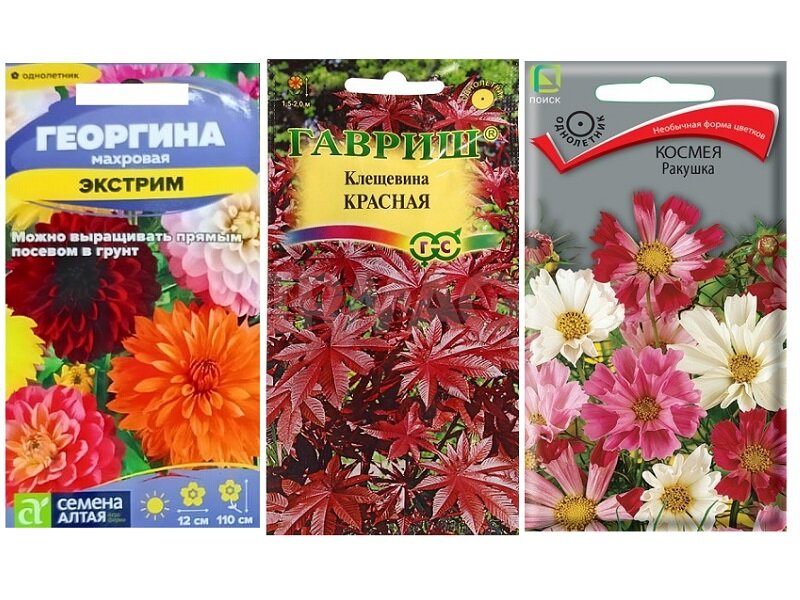Набор семян Разноцветные Гиганты (Георгина Махровая Экстрим Клещевина Красная Космея Ракушка)
