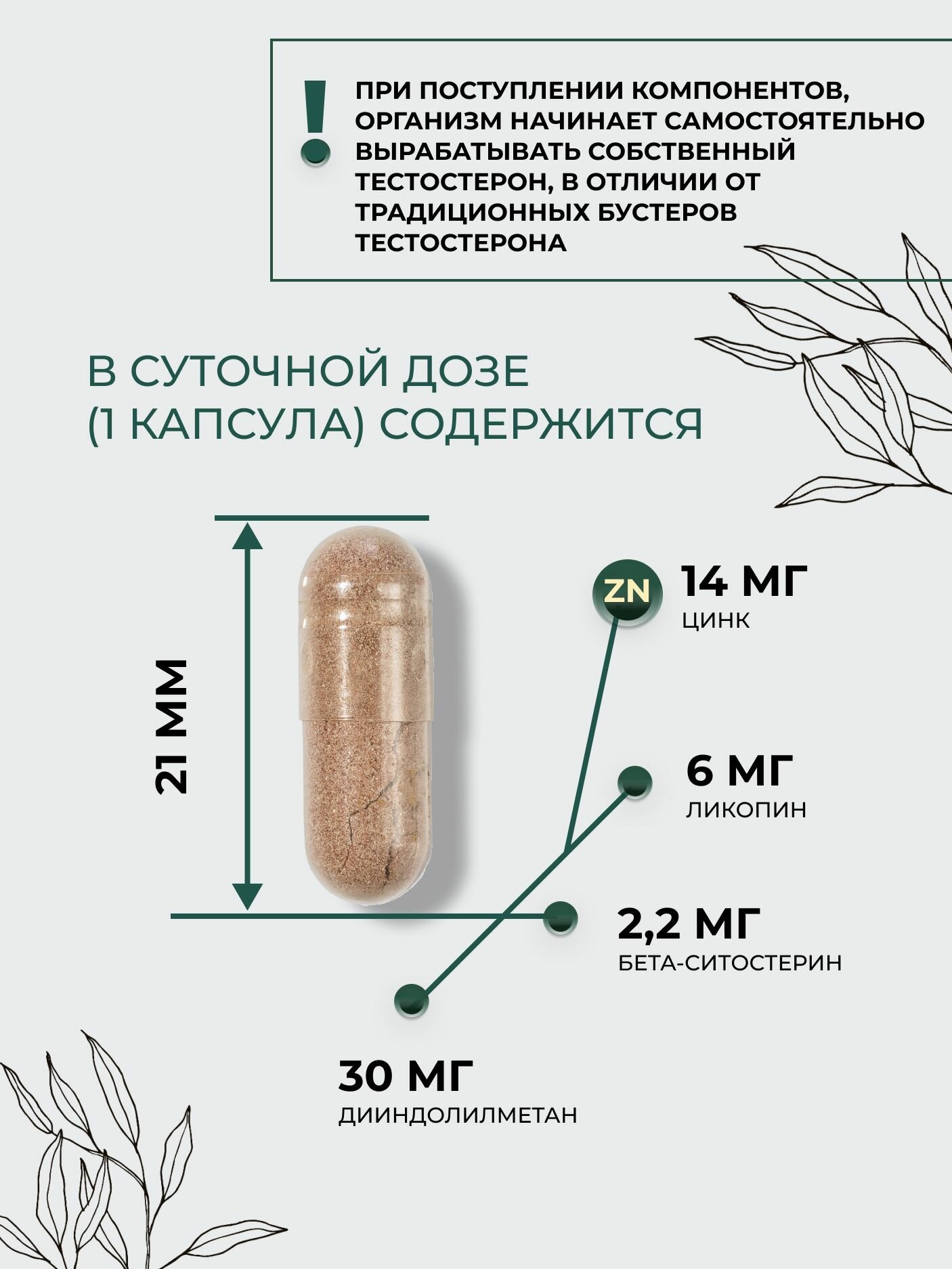 Препараты От Простатита Средство от простатита для профилактики аденомы простаты у мужчин