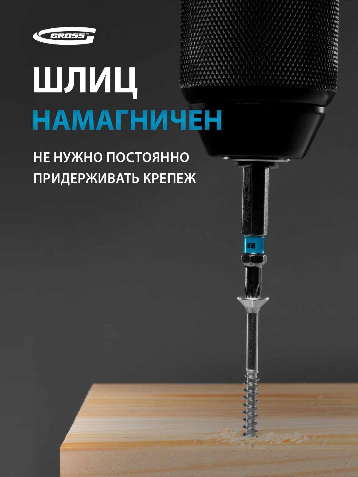 Набор бит Gross TORX 20х50 из японской легированной стали S2 твердостью 54-58 HRC, 10 шт 11470 — фото 1
