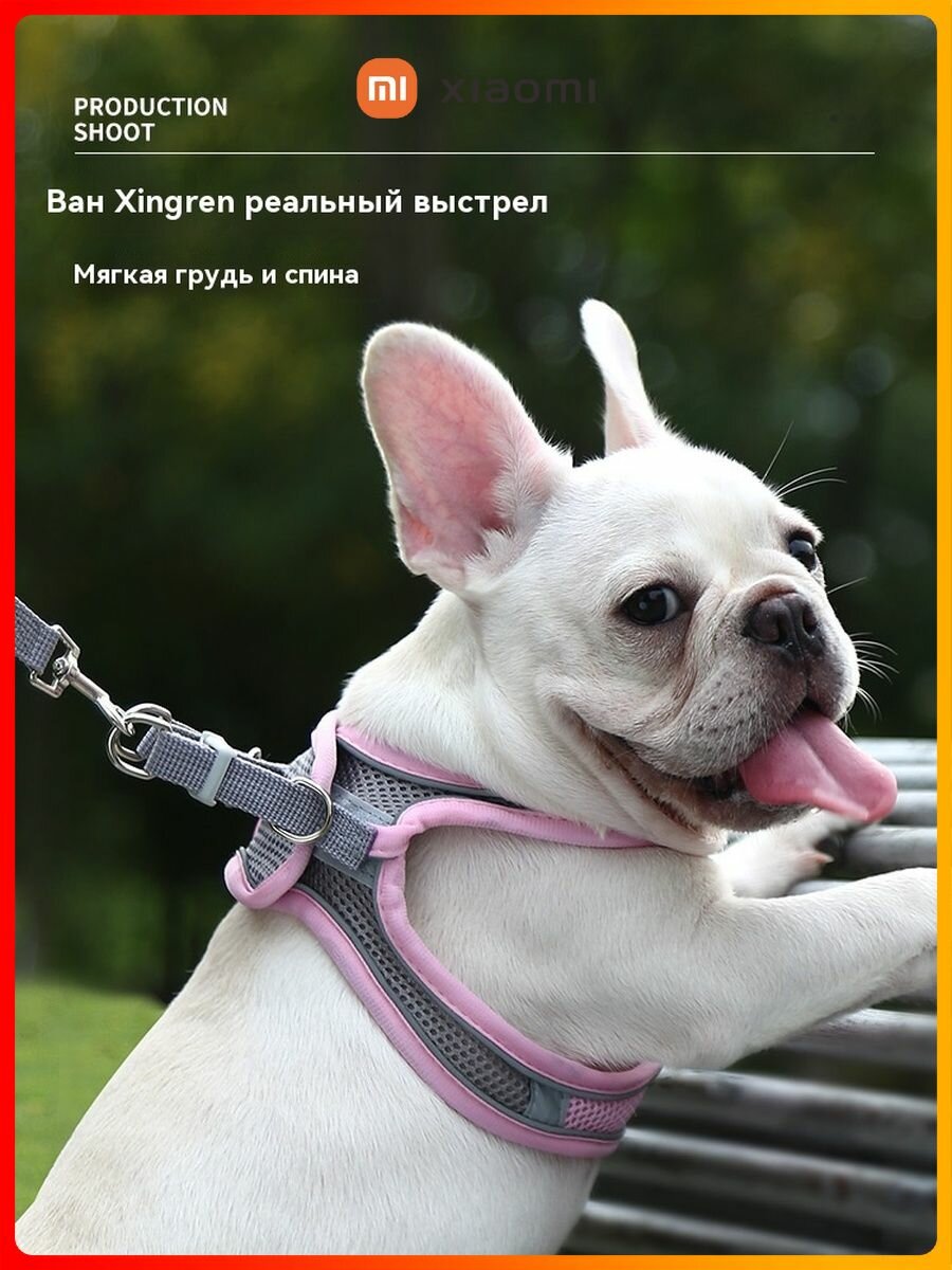 Изображение Xiaomi поводок для питомца