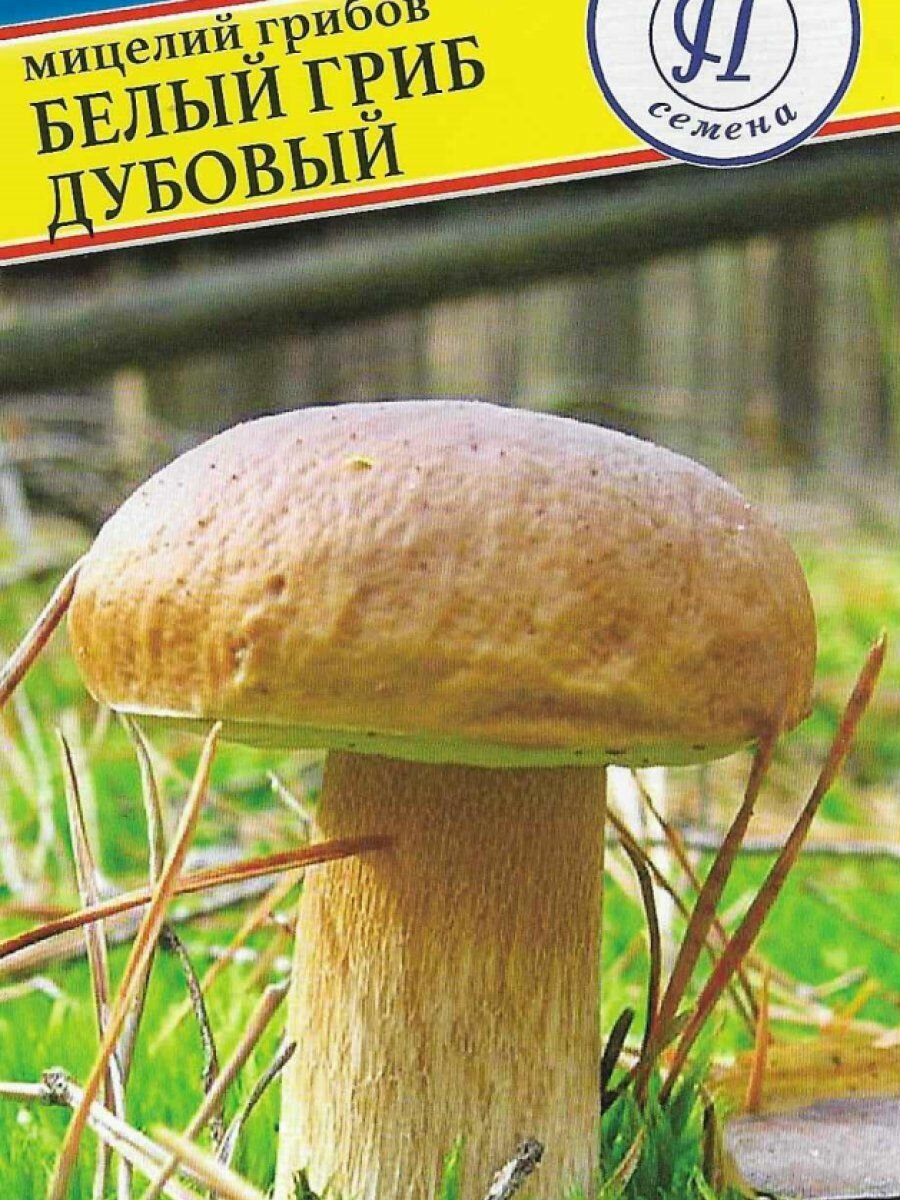 Белый гриб дубовый 50 мл Семена Престиж