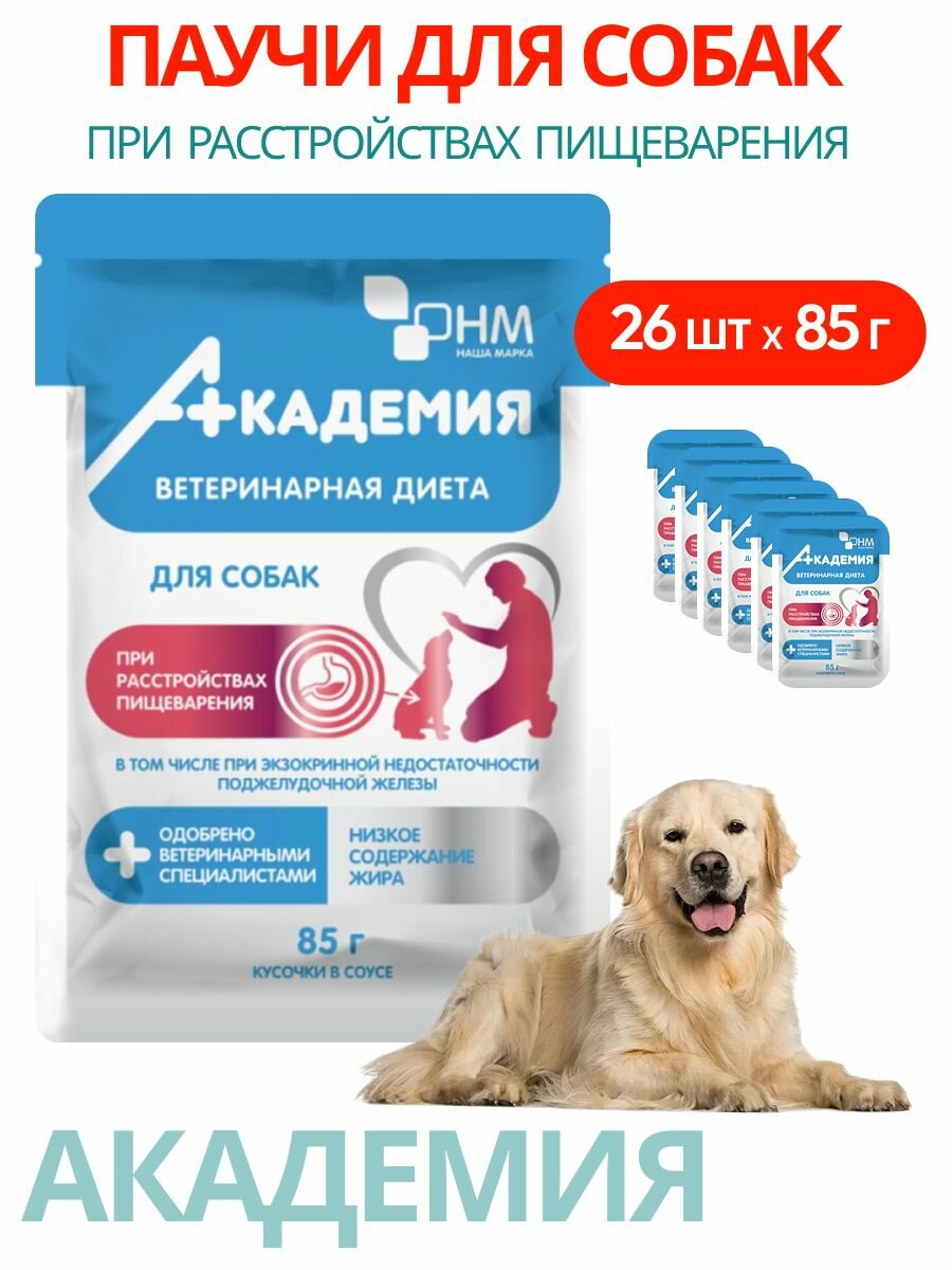 Ветдиета академия паучи для собак при расстройствах пищеварения 85г 26шт