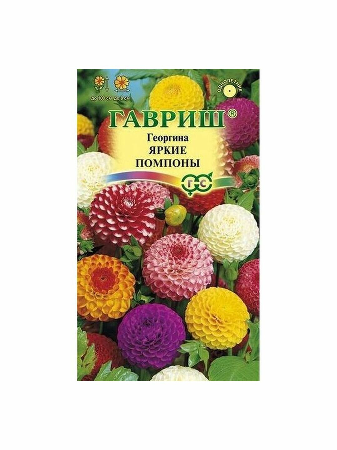 Семена Георгина Яркие помпоны однолетник Гавриш 1 пачка - 0.2г семян