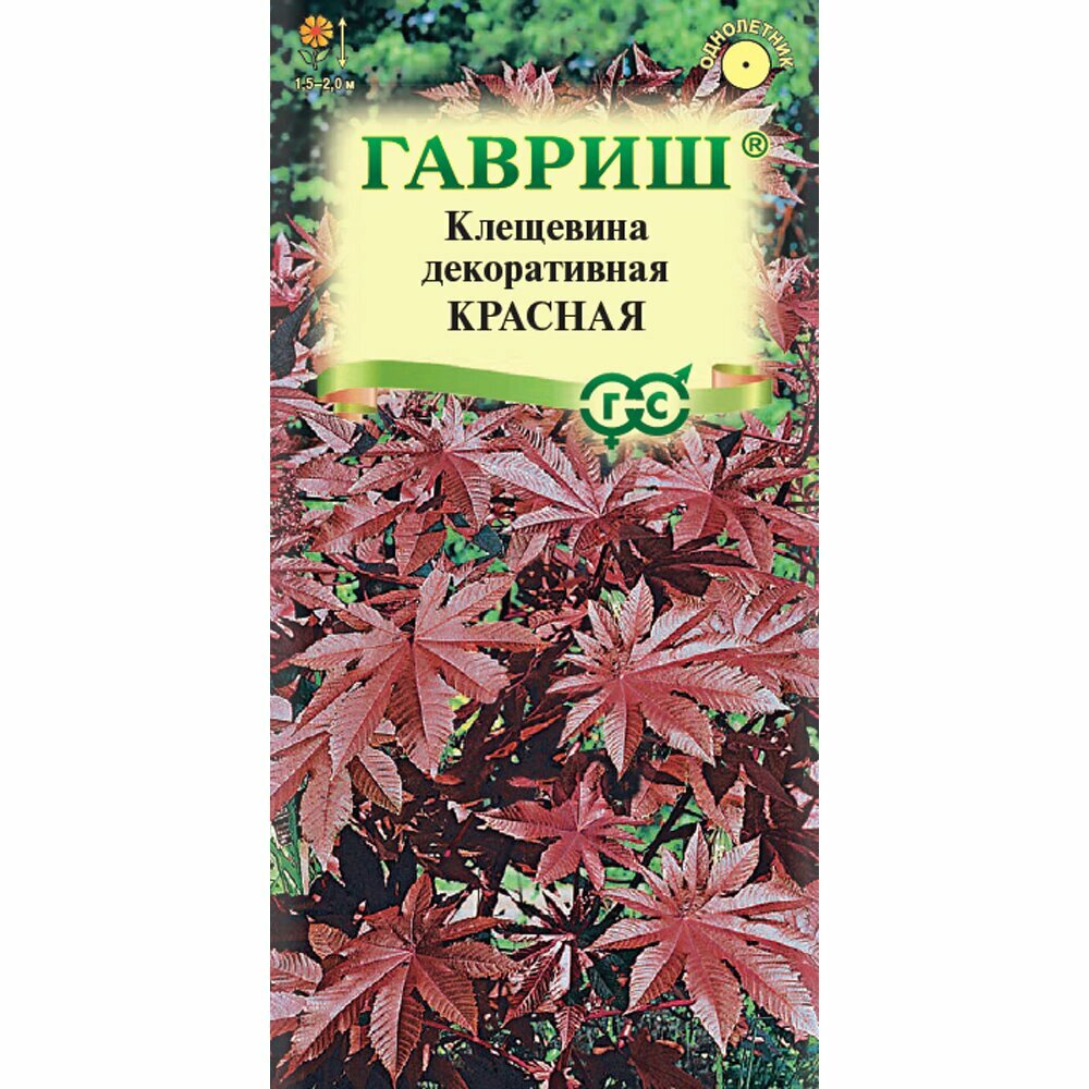 Клещевина Красная 5 шт