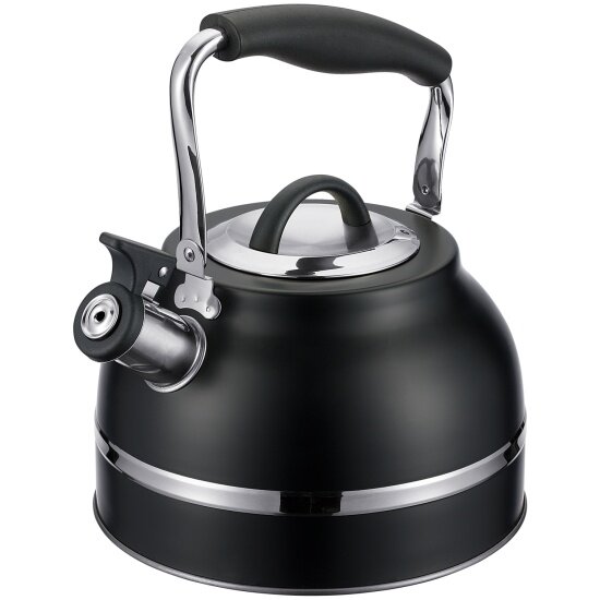 Чайник Regent Inox Linea TEA 3 л со свистком нерж. сталь черный (78-001)
