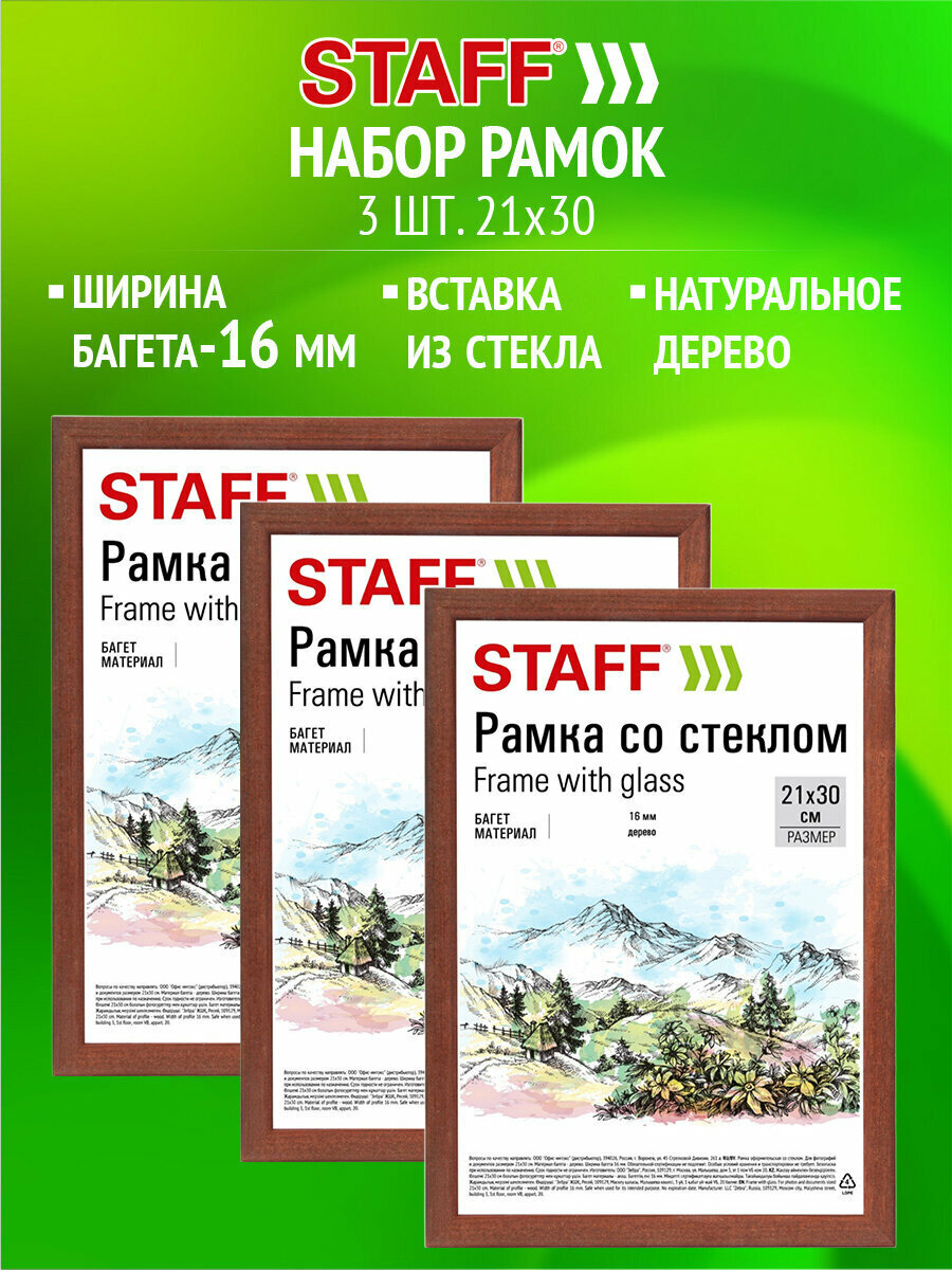 Рамка для фото А4 фоторамка 21х30 см для фотографий картин грамот вышивки со стеклом набор 3 штуки багет 16мм натуральное дерево Staff цвет орех 391387