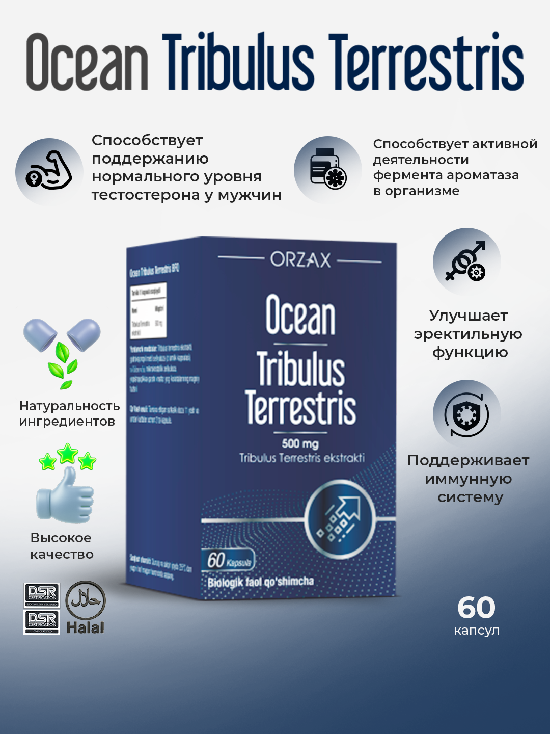 Ocean Tribulus Terrestris – природный комплекс для мужской силы и энергии, №60