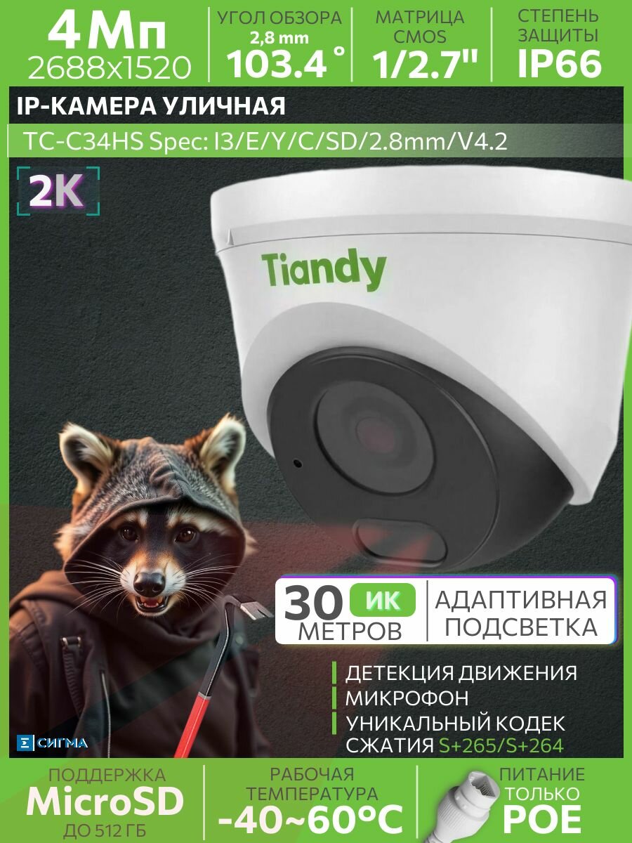 IP-камера видеонаблюдения Tiandy TC-C34HS I3/E/Y/C/SD/2.8mm/V4.2 4Мп 2,8мм ИК до 30м микрофон уличная купольная
