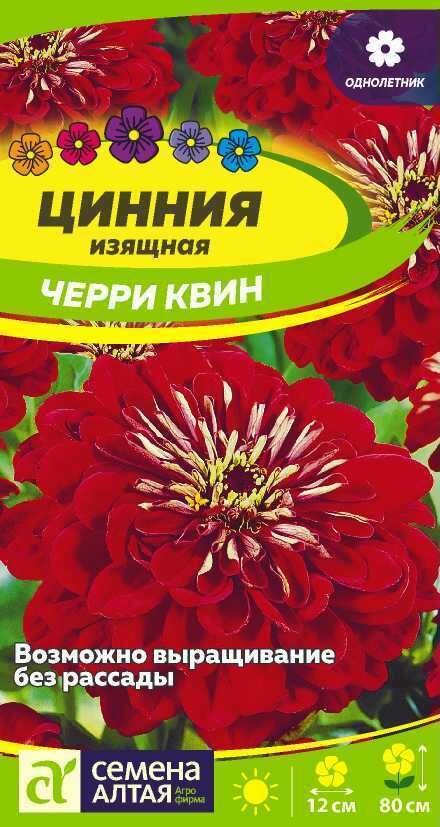 Цинния Черри Квин георгиноцветковая 03г /СемАлт