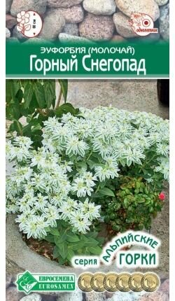 Эуфорбия молочай окаймленный Горный снегопад 10 шт Серия Альпийские горки/Евросемена