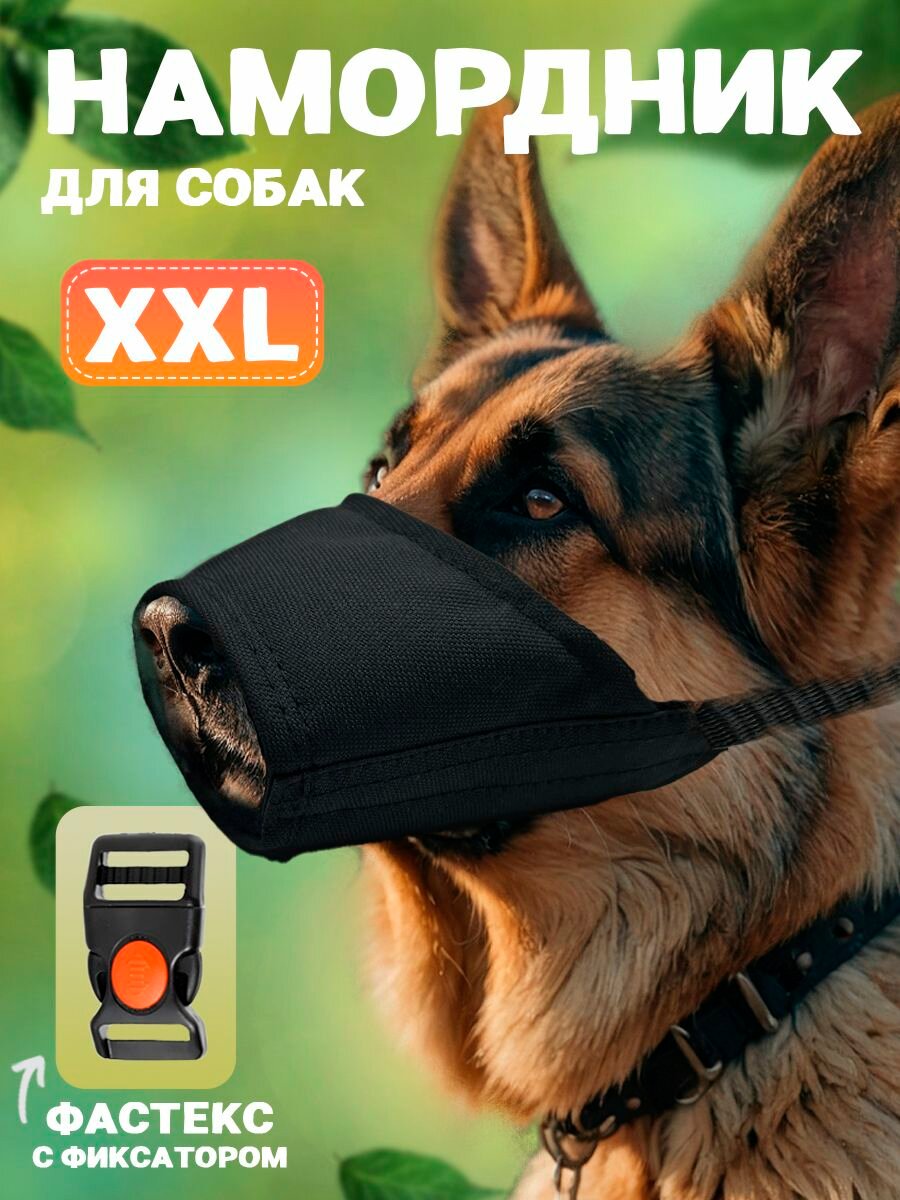 Намордник для собак