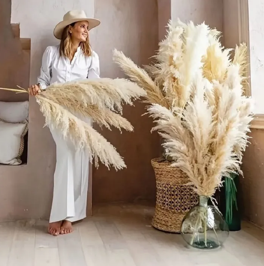 Пампасная трава DesignFlowers сухоцветы для декора кортадерия 7 шт 130 см
