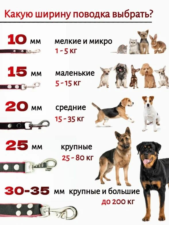 Поводок Хвостатыч для собак крупных пород с бычьим карабином 5 м х 35 мм брезент (зеленый) — фото 1