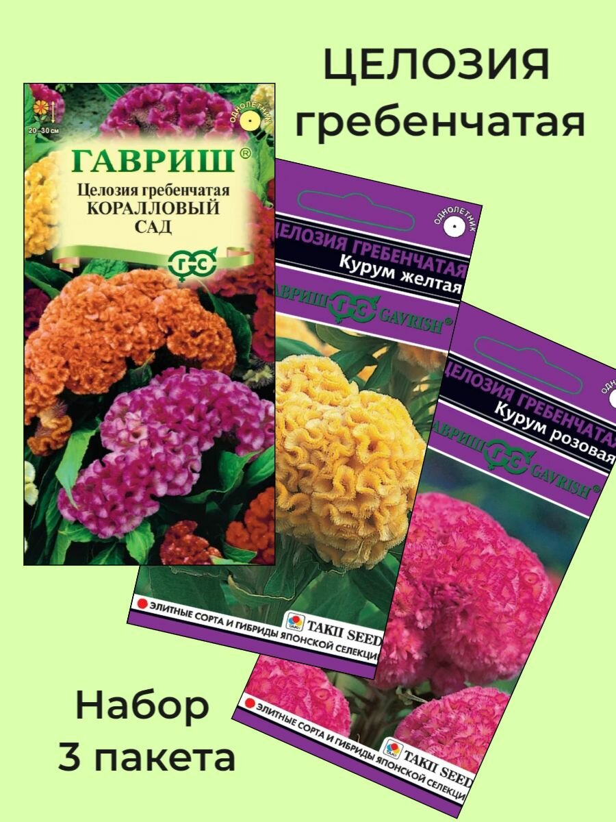 Семена Целозия Гребенчатая 3 сорта