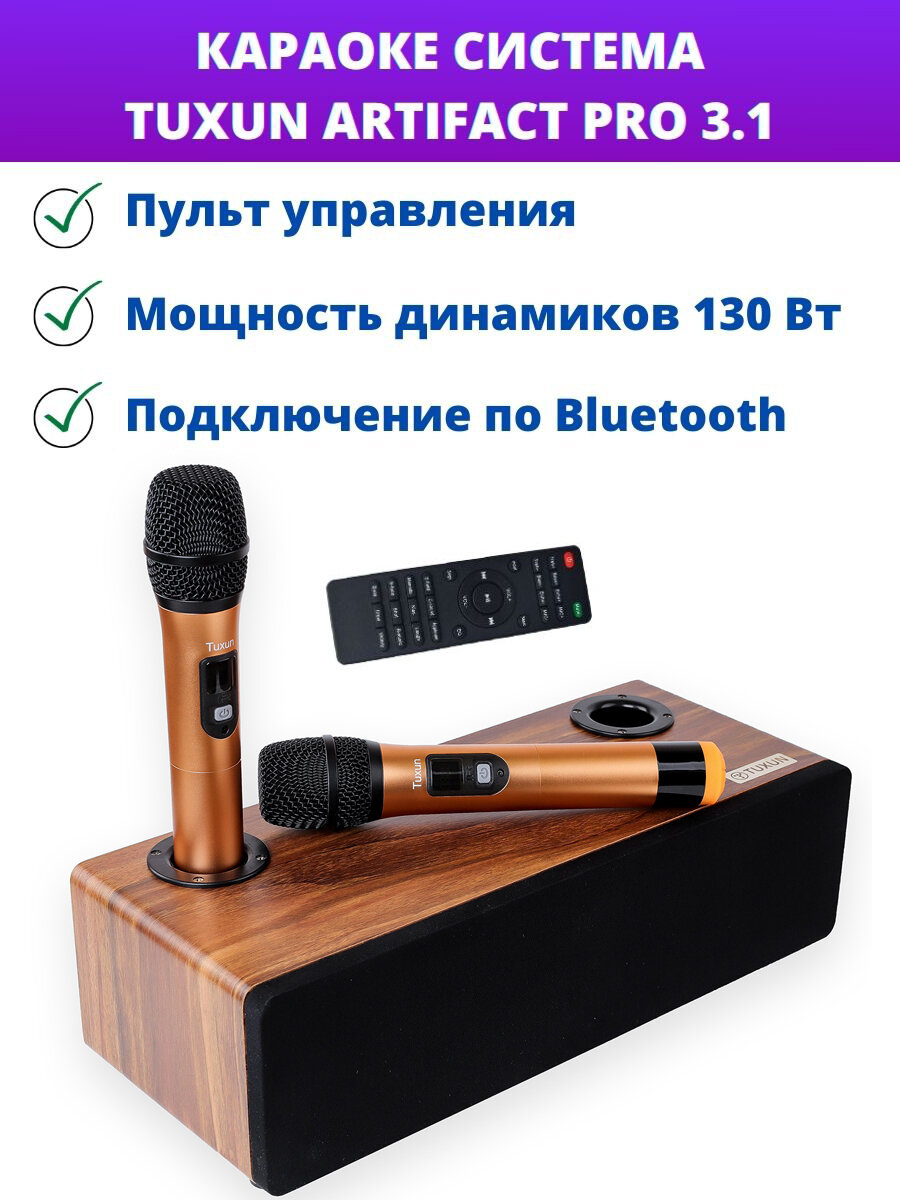 Караоке система для дома Tuxun Artifact 3.1 PRO 130 Вт с двумя микрофонами и пультом коричневая