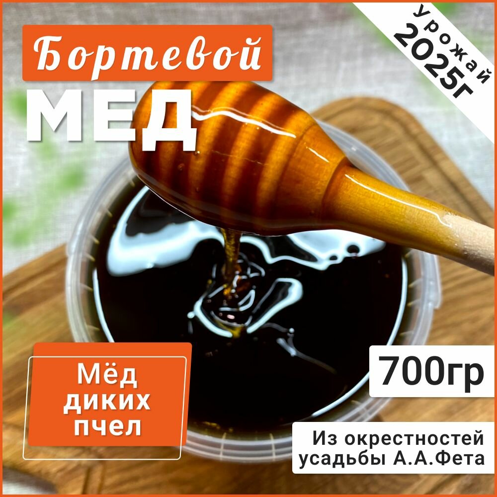 Мед бортевой  диких пчёл  700грамм 2025 г