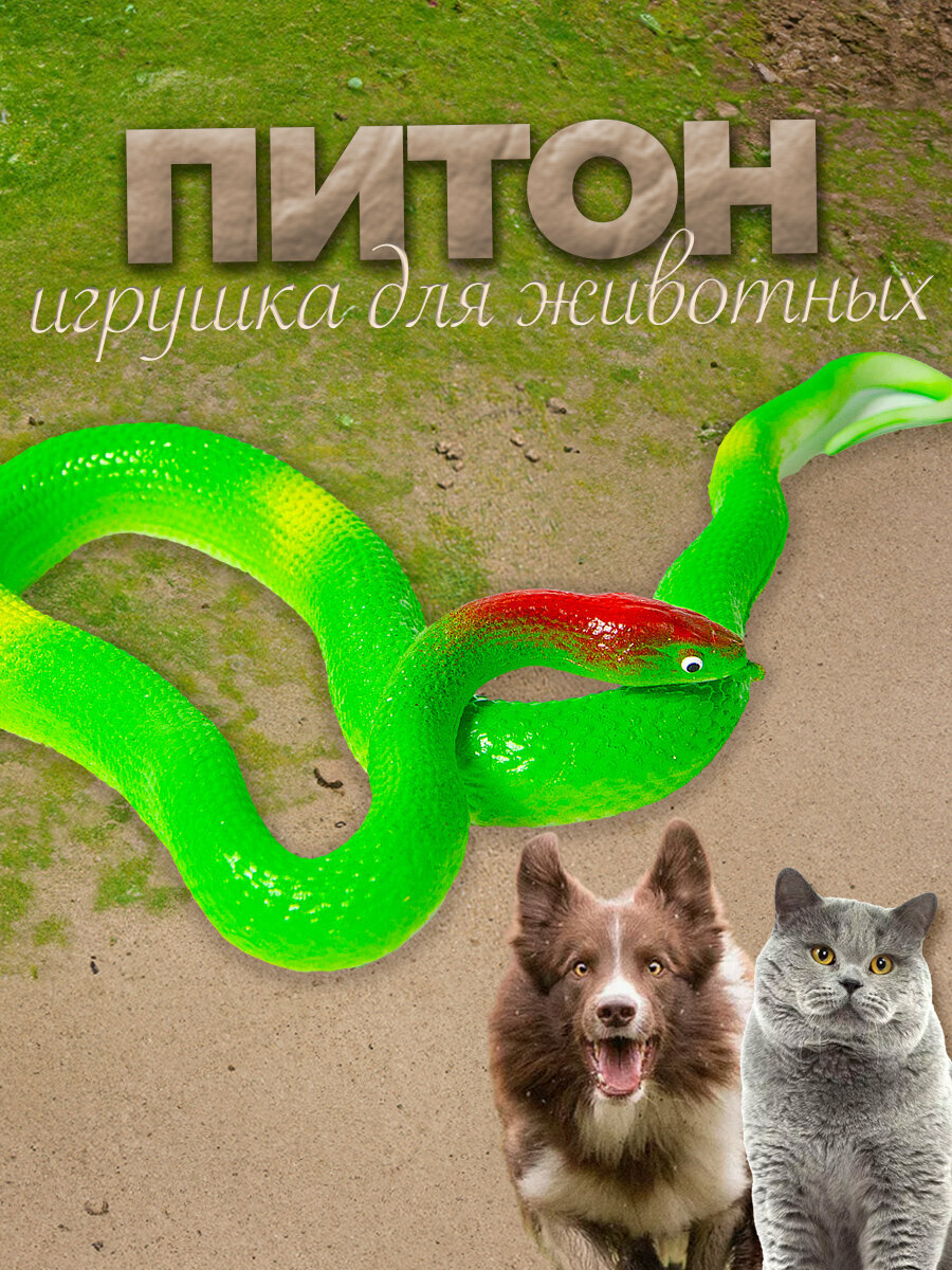 Игрушка "Змея питон", для кошек, собак, хорьков, зеленая