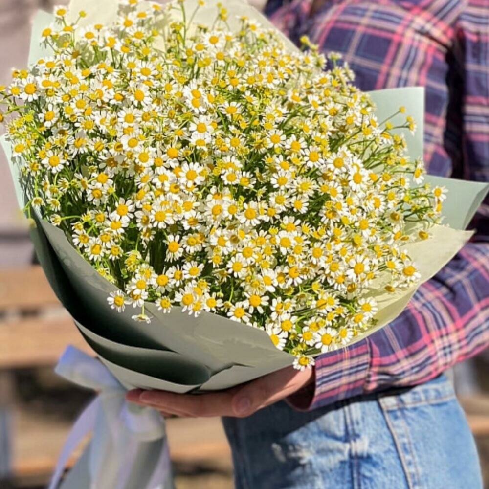 Ромашковое поле - "Элит Цветы" - всегда свежие букеты с доставкой.