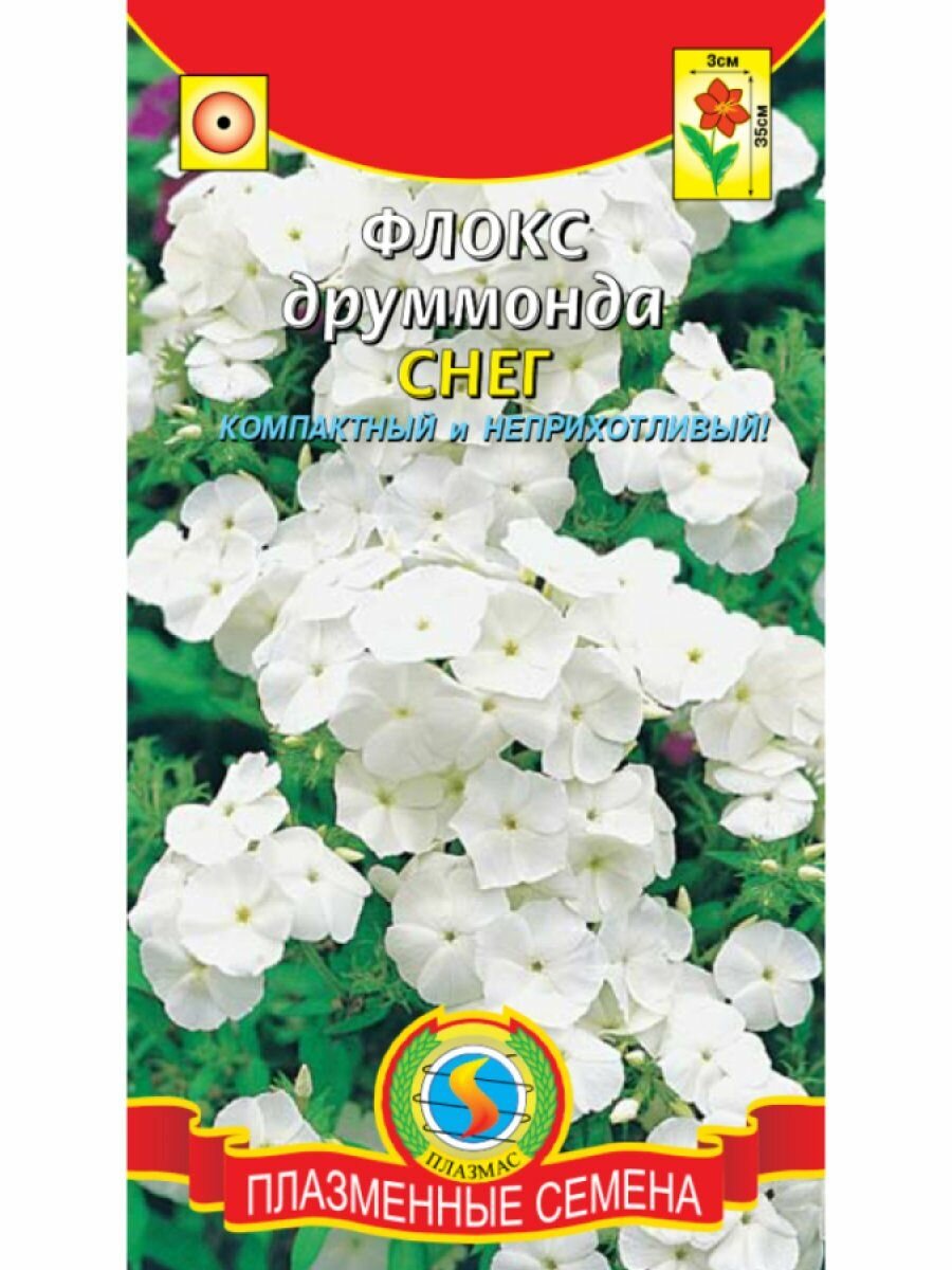 Флокс Друммонда Снег 01 г Плазменные семена