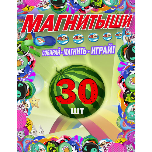 Магнитыши 30 850₽