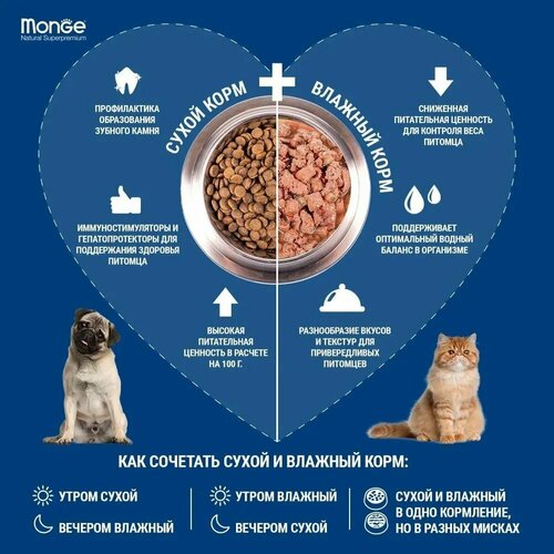 Влажный корм Monge Cat Grill паучи для взрослых кошек, со вкусом кролика (4шт по 85g)
